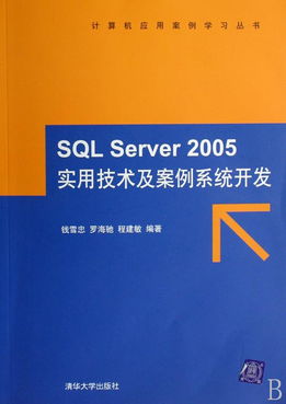 SQL Server 2005實用技術(shù)及案例系統(tǒng)開發(fā) 附光盤的計算機(jī)應(yīng)用案例學(xué)習(xí)指南